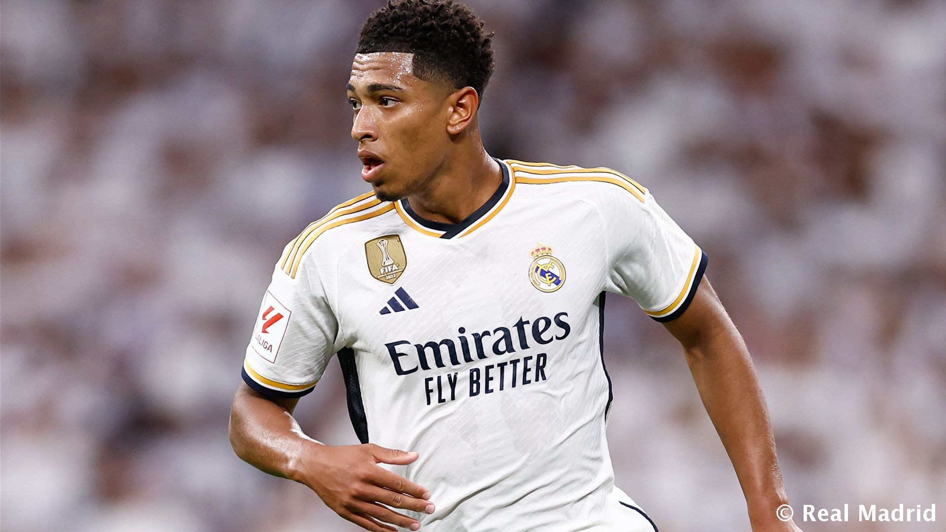 发若缺乏长 发若缺乏长